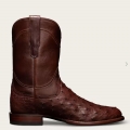 Tecovas Free Shipping Men's The Duke-Mahogany Ostrich Tecovas Free Shipping Men's The Duke-Mahogany Ostrich